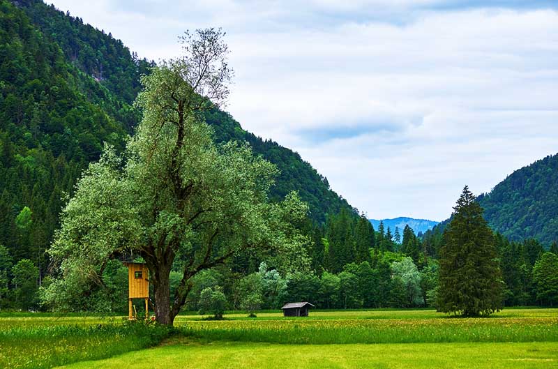 landscape